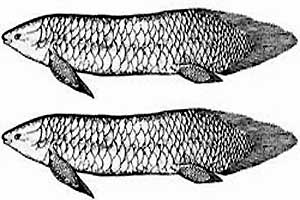 ������������� �������, ��� ���������� � ���� �� ������������� � ��������� ��� � ����